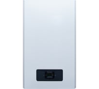 Газовый настенный котел Rimmini Premium VRB 24 1-но контурный, с дисплеем RimVRB24BP