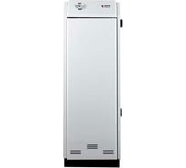 Газовый котел Arideya ARD-03-000006