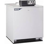 Газовый напольный котел Lamborghini Gaster N 153 AW