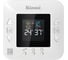 Газовый котел Rinnai RB 207RMF RNN-498900101 2
