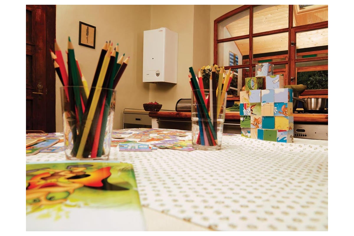 Газовый настенный котел Protherm Гепард 23 MTV 0010007995 - выгодная ...