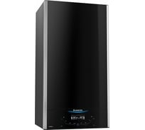 Настенный двухконтурный традиционный газовый котел ARISTON ALTEAS X 24 CF NG 3300844