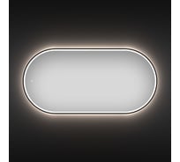 Настенное зеркало для ванной и прихожей с подсветкой для макияжа Wellsee 7 Rays' Spectrum овальное,  80 х 40 см, с тонким черным матовым контуром 172201590