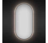 Декоративное настенное зеркало с подсветкой и тонким черным матовым контуром Wellsee овальное 60 х 120 см, для ванной и прихожей 172201560