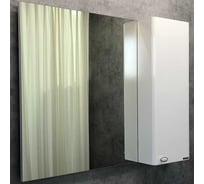 Зеркало-шкаф Comforty "Неаполь-100" белый глянец 00004139023