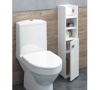 Притуалетный шкаф SANTREK (с втулкой) "Виола" 1 дверь, 2 ниши, правый, 200x950x190 316054