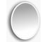 Зеркало Misty 4 Неон LED 600х800 сенсор на корпусе овальное П-Нео060080-4ОВСНК 1