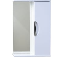 Зеркало со шкафчиком Emmy Милли 50 универсальное 210002