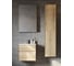 Либерти AQUATON 60/2 Тумба Дуб Эльвезия (Элина 60,MILA 400,MILA 350*350, Одри 420x620 Soft) 00090086 1A279401LYC70 19