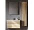 Тумба AQUATON Либерти 100/2 дуб Эльвезия (Элина 100, MILA 400, MILA 350х350, Одри 420x620 Soft, Лола 60) 00090108 19