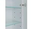 Шкаф зеркальный ALIAS Оливия 90x50 см, с холодной LED-подсветкой, универсальный sho90501 8