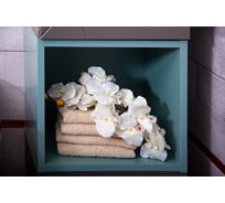 Ниша для пенала Бриклаер КРИСТАЛЛ муссон 4627125414497