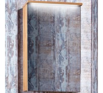 Навесной зеркальный шкаф Бриклаер ФОРЕСТ 50, 4627125414701