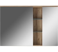 Шкаф-зеркало Домино Fortuna 100 левый DF3107HZ