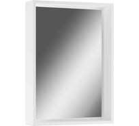 Шкаф-зеркало Айсберг Аура 50 DA2506HZ