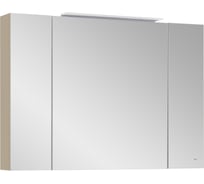 Зеркальный шкаф Roca Oleta 100 капучино матовый, A857648515
