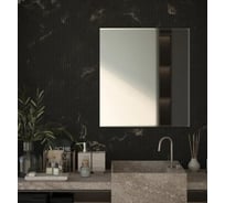 Зеркало настенное Bauform с фацетом FACET 15 EVOFORM 90х90 см SP 9072