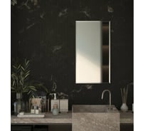 Зеркало настенное Bauform с фацетом FACET 15 EVOFORM 50х90 см SP 9076