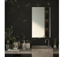 Зеркало настенное Bauform с фацетом FACET 15 EVOFORM 60х100 см SP 9068