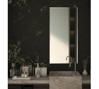 Зеркало настенное Bauform с фацетом FACET 15 EVOFORM 60х120 см SP 9060