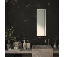 Зеркало настенное Bauform с фацетом FACET 15 EVOFORM 30х90 см SP 9078