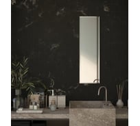 Зеркало настенное Bauform с фацетом FACET 15 EVOFORM 30х100 см SP 9071