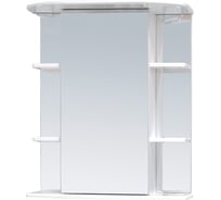 Универсальный зеркальный шкаф Onika ГЛОРИЯ 60.00 206041