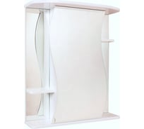 Универсальный зеркальный шкаф Onika ЛИЛИЯ 55.00 205532