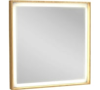 Зеркало Jacob Delafon Rythmik 00203715