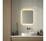 Зеркало с матированием и LED-подсветкой DEFESTO 23W (60x70 см) (Без выключателя) (Теплый белый свет) DF 3816 3