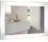 Зеркало Silver Mirrors Норма - 2 800х600 (подогрев, сенсорный выключатель) зеркало ФР-00001040 1