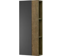 Модуль для зеркала AQUATON Терра 35 Дуб Кантри/Антрацит 1A247103TEKA0 00060761