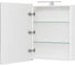 Зеркальный шкаф AQUATON Скай PRO 55 1A238402SY010 1