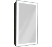 Зеркало-шкаф с подсветкой Art&Max TECHNO AM-Tec-350-650-1D-L-DS-F-Nero