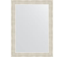 Зеркало в багетной раме EVOFORM травленое серебро 59 мм, 54x74 см BY 0632