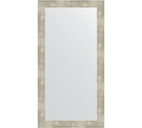 Зеркало EVOFORM в багетной раме - алюминий 61 mm (54x104 cm) 3076