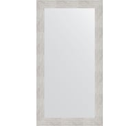 Зеркало EVOFORM в багетной раме - серебряный дождь 70 mm (56x106 cm) 3080