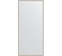 Зеркало EVOFORM в багетной раме - витое серебро 28 mm (68x148 cm) 0759