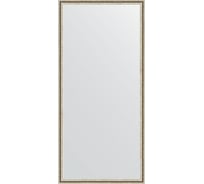 Зеркало EVOFORM в багетной раме - мельхиор 41 mm (71x151 cm) 1110
