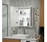 Зеркало-шкаф Reflection Chill led 700x800 RF2314CH 10