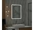Зеркало-шкаф Reflection Chill led 600x800 RF2316CH 5