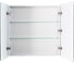 Зеркало-шкаф BelBagno SPC-MAR-800/800-2A-LED-TCH 3