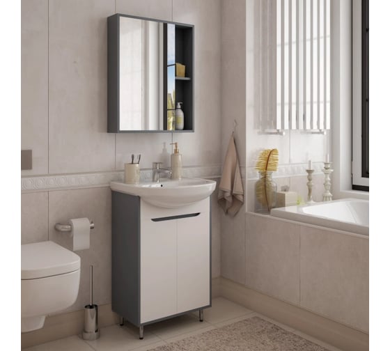 Зеркальный шкаф Teymi Aina 50, белый/графит T60001 ЦБ-00266284