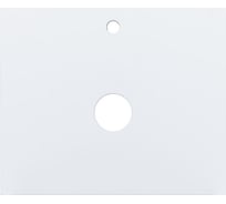 Столешница Aquanet Терра 70 белый матовый 313238 00313238