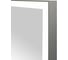 Зеркало с подсветкой CONTINENT ФРЭЙМ СИЛЬВЕР (Frame Silver Led) 600x800 (алюминиевый профиль) ЗЛП891 3
