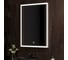 Зеркало с подсветкой CONTINENT ФРЭЙМ СИЛЬВЕР (Frame Silver Led) 600x800 (алюминиевый профиль) ЗЛП891 5