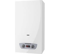 Настенный проточный газовый водонагреватель ARISTON FAST R DISPLAY 10L NG 3632715