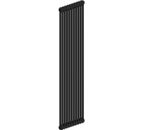 Радиатор IRSAP TESI 21800/06 CL.10 RAL9005 черный Т30 RR218000610A430N01