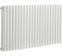 Радиатор IRSAP TESI 30565/22 CL.01 белый Т25 RR305652201A425N01