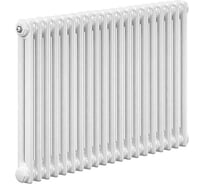Стальной трубчатый радиатор IRSAP TESI/2 565 EL20 CL.01 T25 / RR205652001A425N01